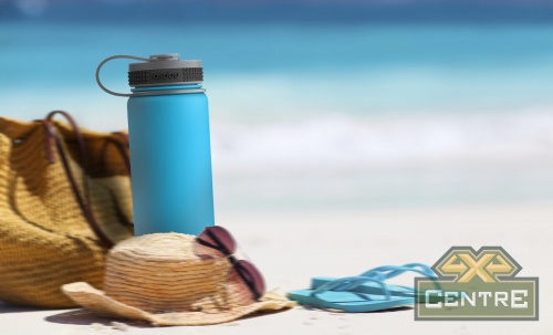 Термос ALPINE, 530 мл, голубой