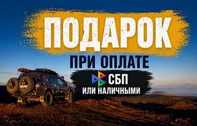 Подарок при оплате через СБП или наличнымми