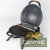 Гриль газовый O-GRILL 900МT bicolor черный-золотистый (в комплекте адаптер тип А)