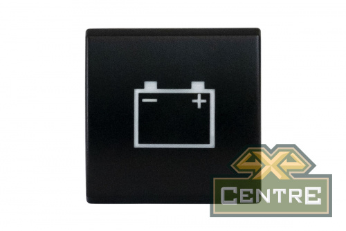 Кнопка ВКЛ/ВЫКЛ, голубой, BATTERY TOYOTA 22x22