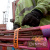 Ремень крепёжный TitanStraps Industrial оранжевый L = 64 см (Dmax = 18 см, Dmin = 5,5 см)