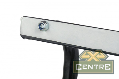 Лестница РИФ для ГАЗ Соболь