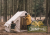 Палатка Naturehike надувная Extend Air 6,3 , цвет песочный